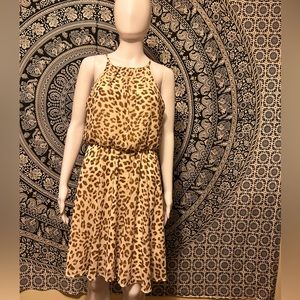 Francesca’s Animal Print Dress